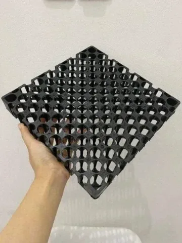 Drainase sel per buah