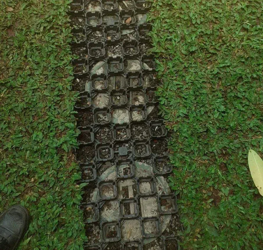 TurfPave untuk rumput